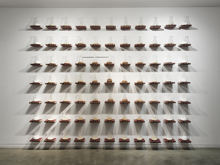 Fresh Earth Installation View