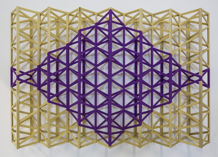 JAAMNI (PURPLE DIAMOND)