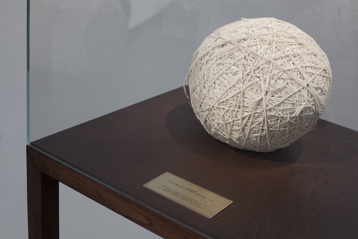 Shilpa Gupta 1:2138 (detail)