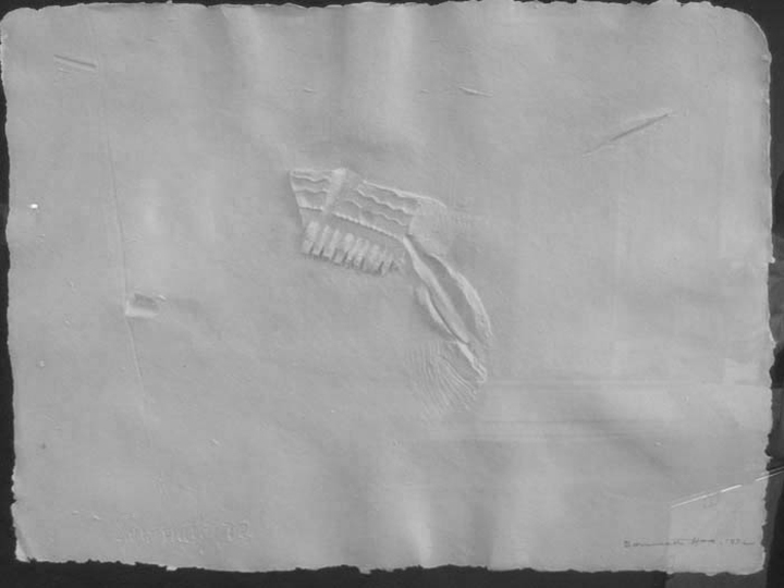 Somnath Hore Untitled (Wound Series 8)