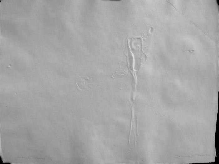 Somnath Hore WOUND SERIES 6