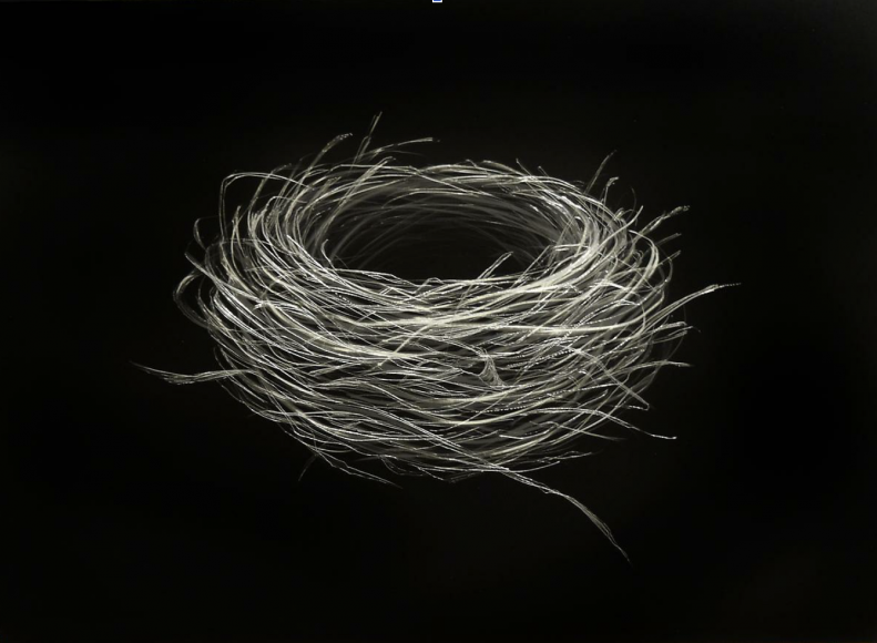 Sparrow Nest III