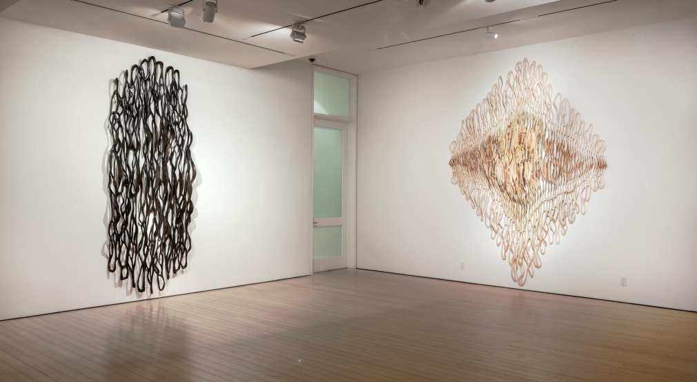 Gallery View