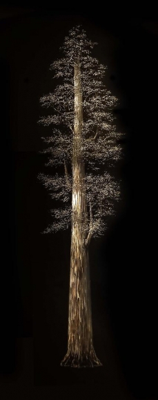 Redwood II incised painted aluminum
