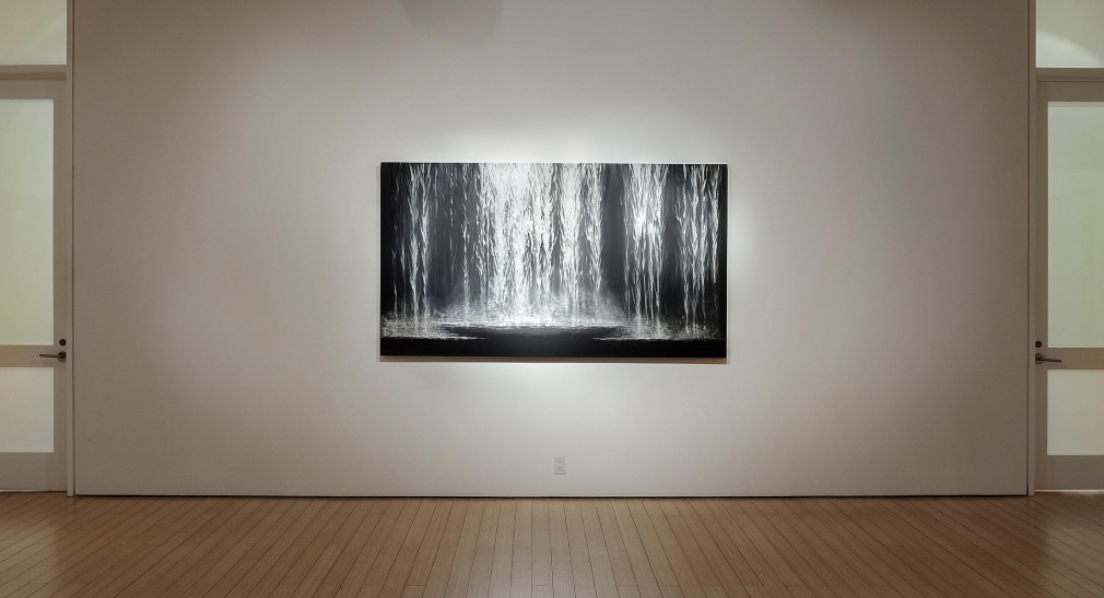 Gallery View 2016