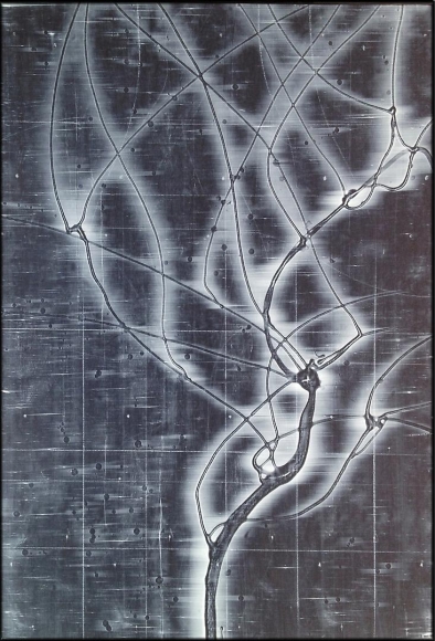 Blackboard 3 acrylic on panel