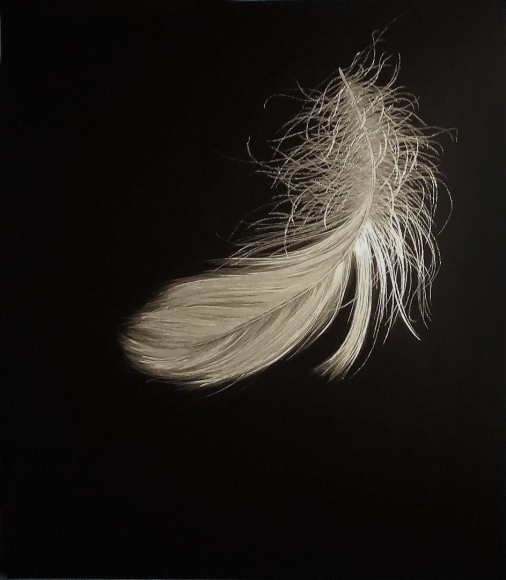 Swan Down 2012