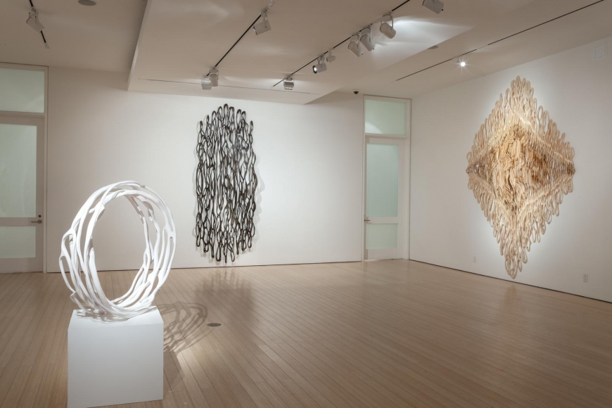 Gallery View