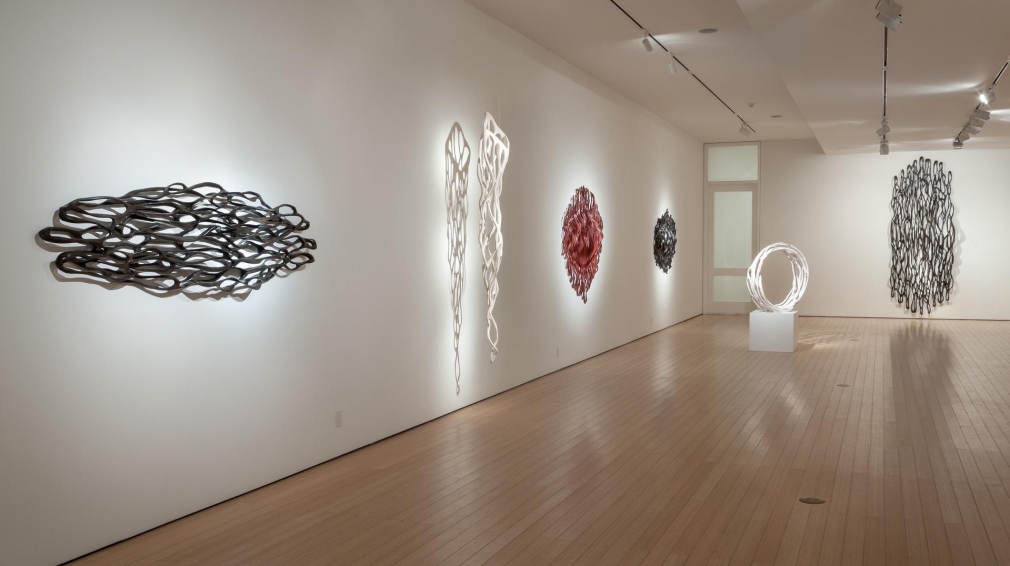Gallery View