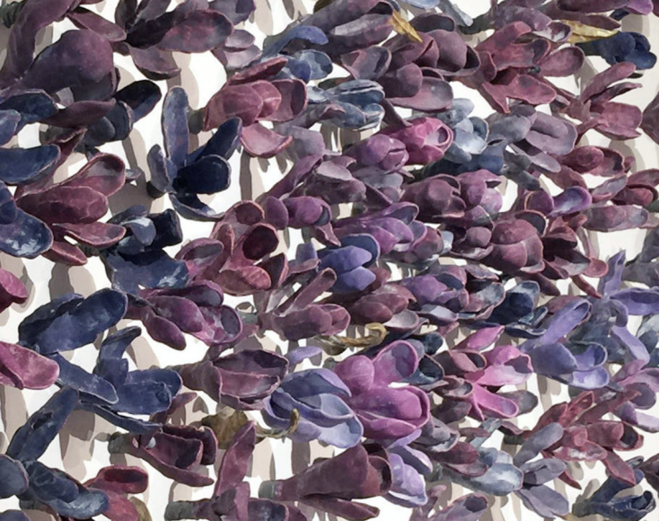 Bradley Sabin Floral Wall III