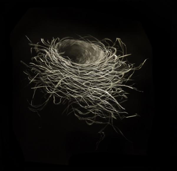Robin Nest III