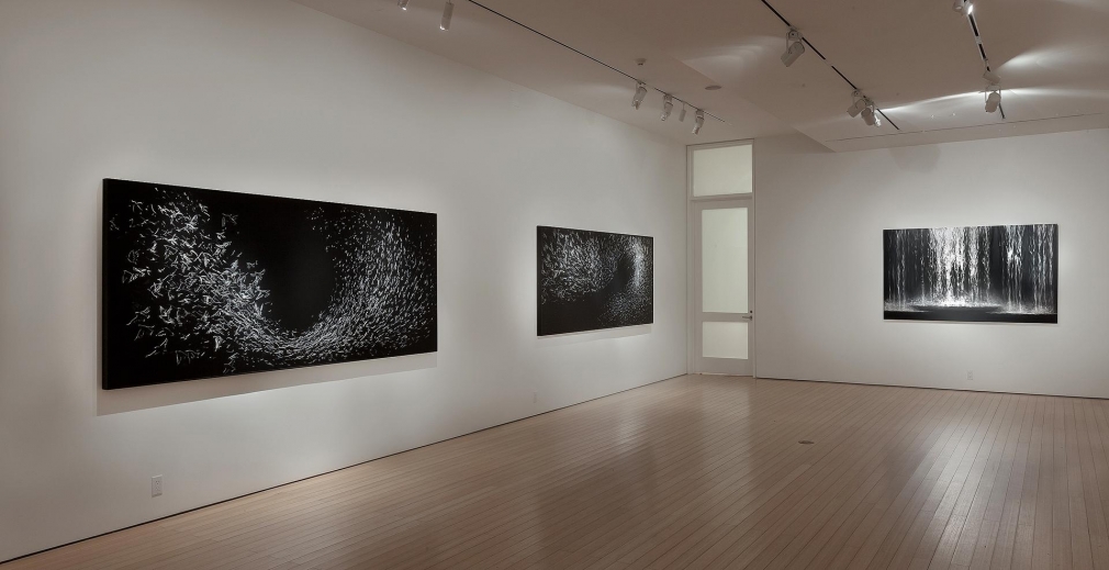 Gallery View 2016