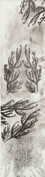 Seaweed Pattern intaglio printed collagraph