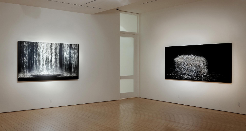 Gallery View 2016