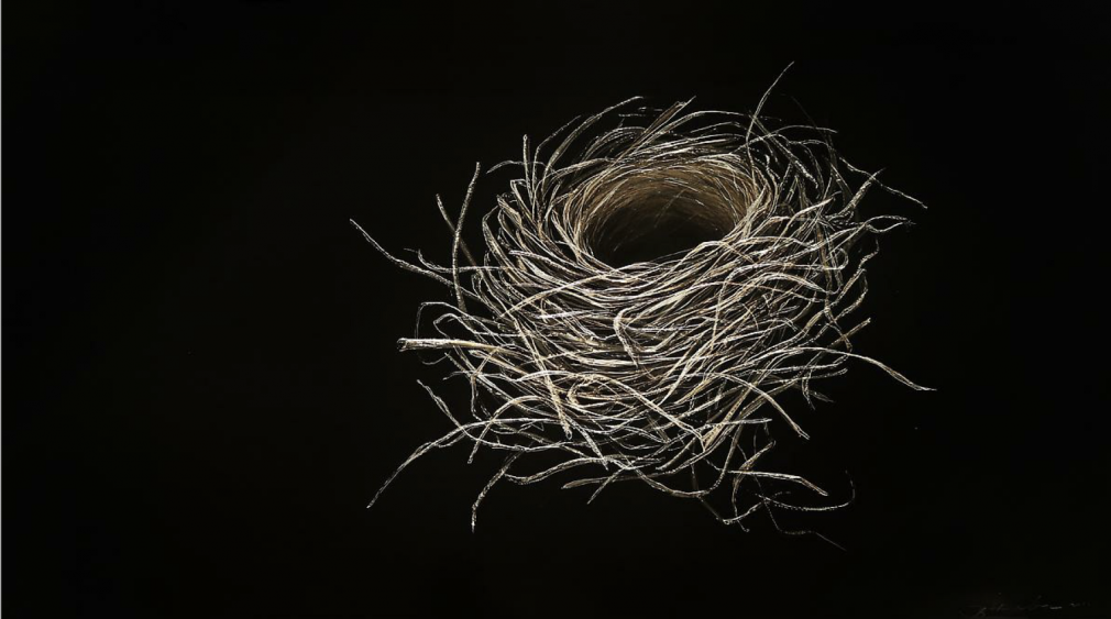 Sparrow Nest incised painted aluminum