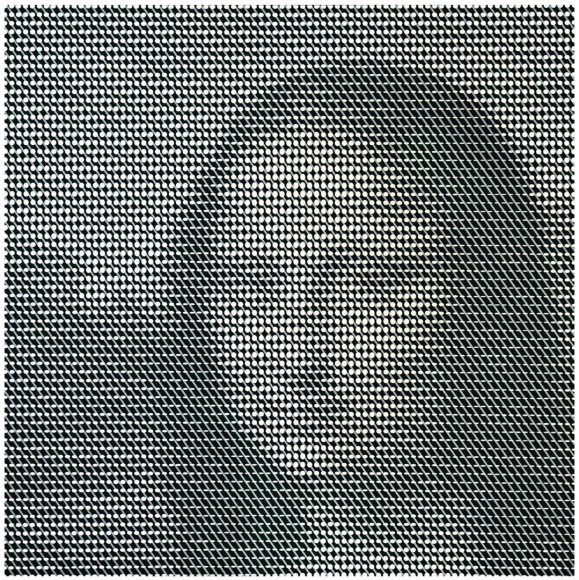 James Flynn Mona at the Speed of Light IV, 2019