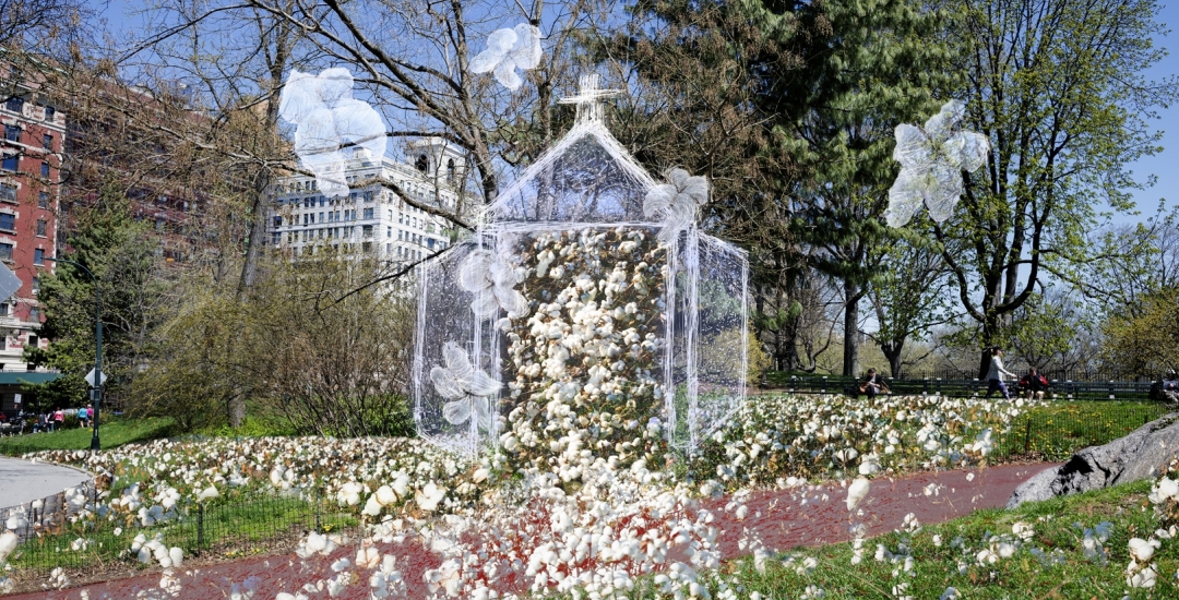 John Dowell: Cotton - Symbol of the Forgotten