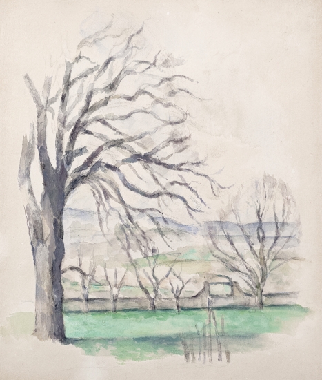 Paul Cezanne (French, 1839-1906) Arbre dépouillé au Jas du Bouffan, 1878-80 Pencil, watercolor, and gouache on white paper 14 x 12 in. (35.5 x 30.5 cm)
