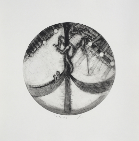 Graphic Vision - Tamayo & Toledo