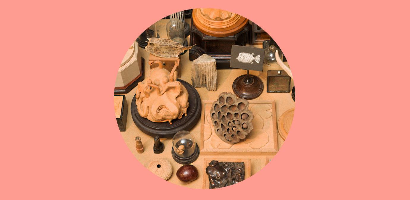 Curious Worlds: The Art of David Beck
