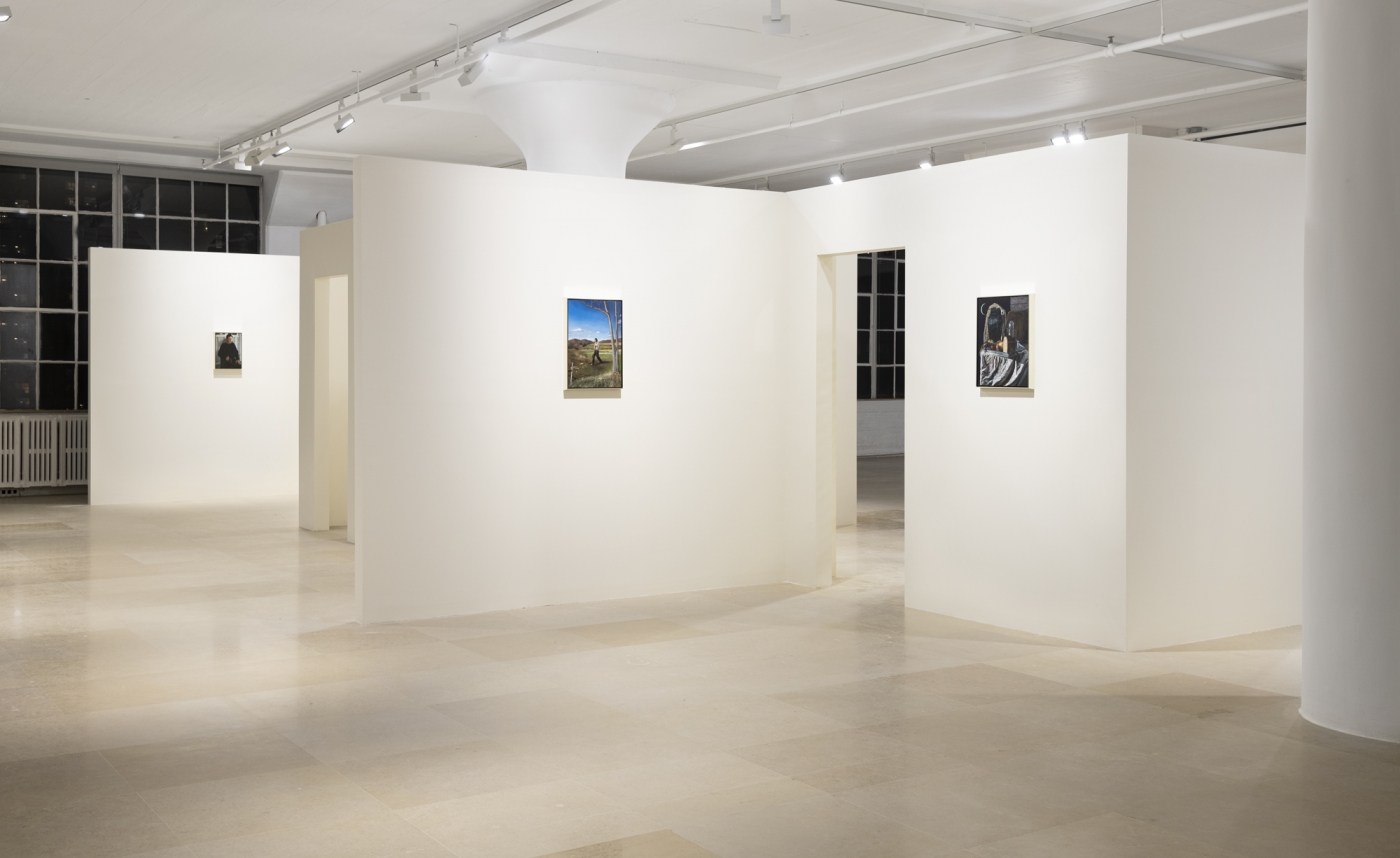 Giangiacomo Rossetti, Installation view, Le Fantasie, Greene Naftali, New York, 2020