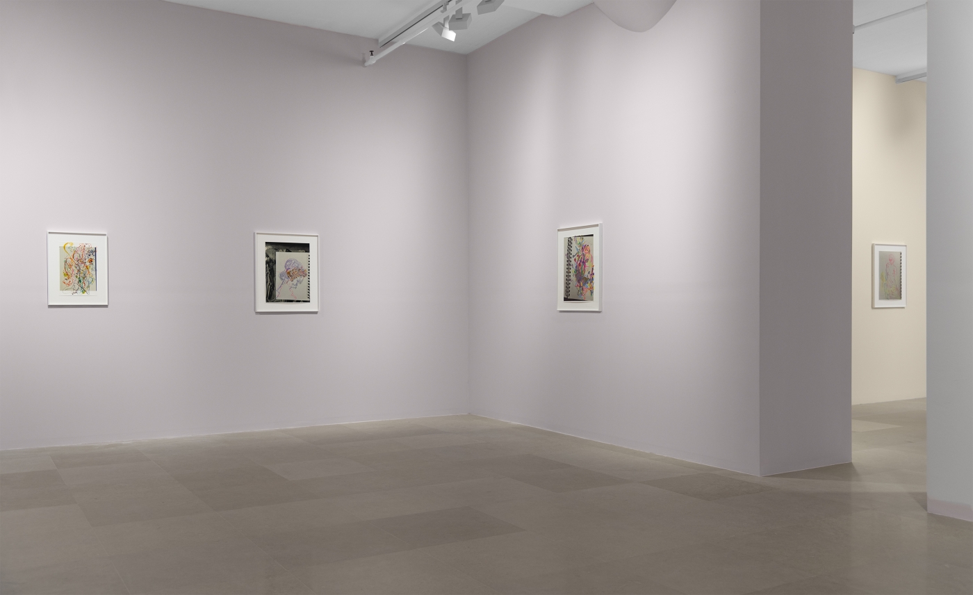 Rachel Harrison, Installation view, Drawings, Greene Naftali, New York, 2020