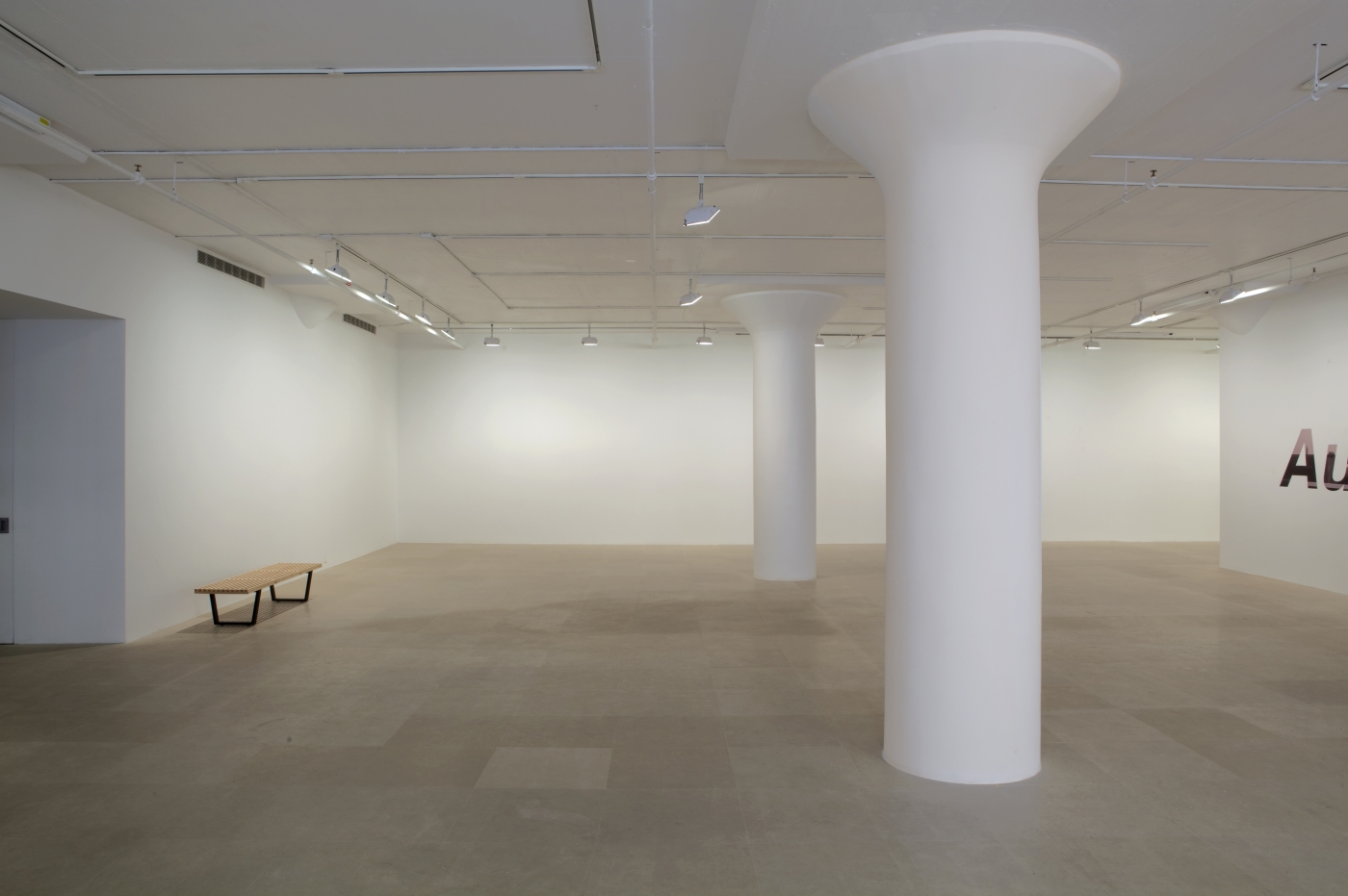 John Knight, Installation view, Autotypes, a work in situ, Greene Naftali, New York, 2011