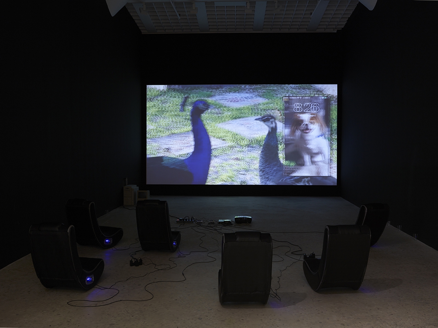 Installation view, Orlando, Greene Naftali, New York, 2015