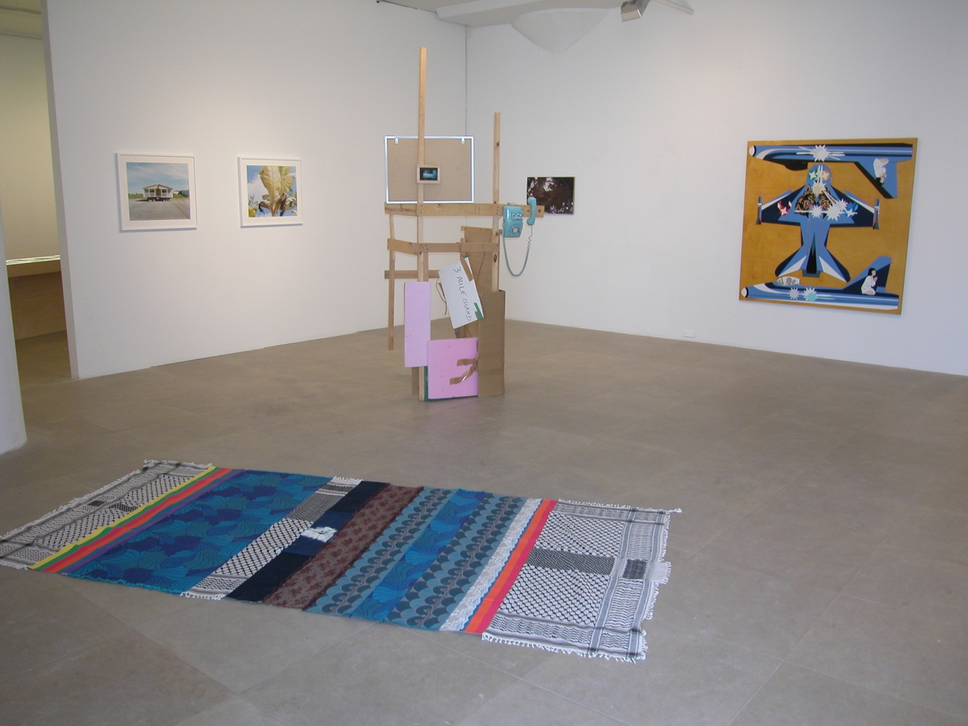 Installation view, American Idyll, Greene Naftali, New York, 2004