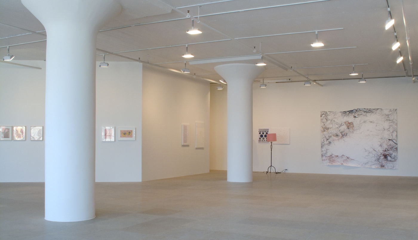 Installation view, The Pursuer, Greene Naftali, New York, 2011