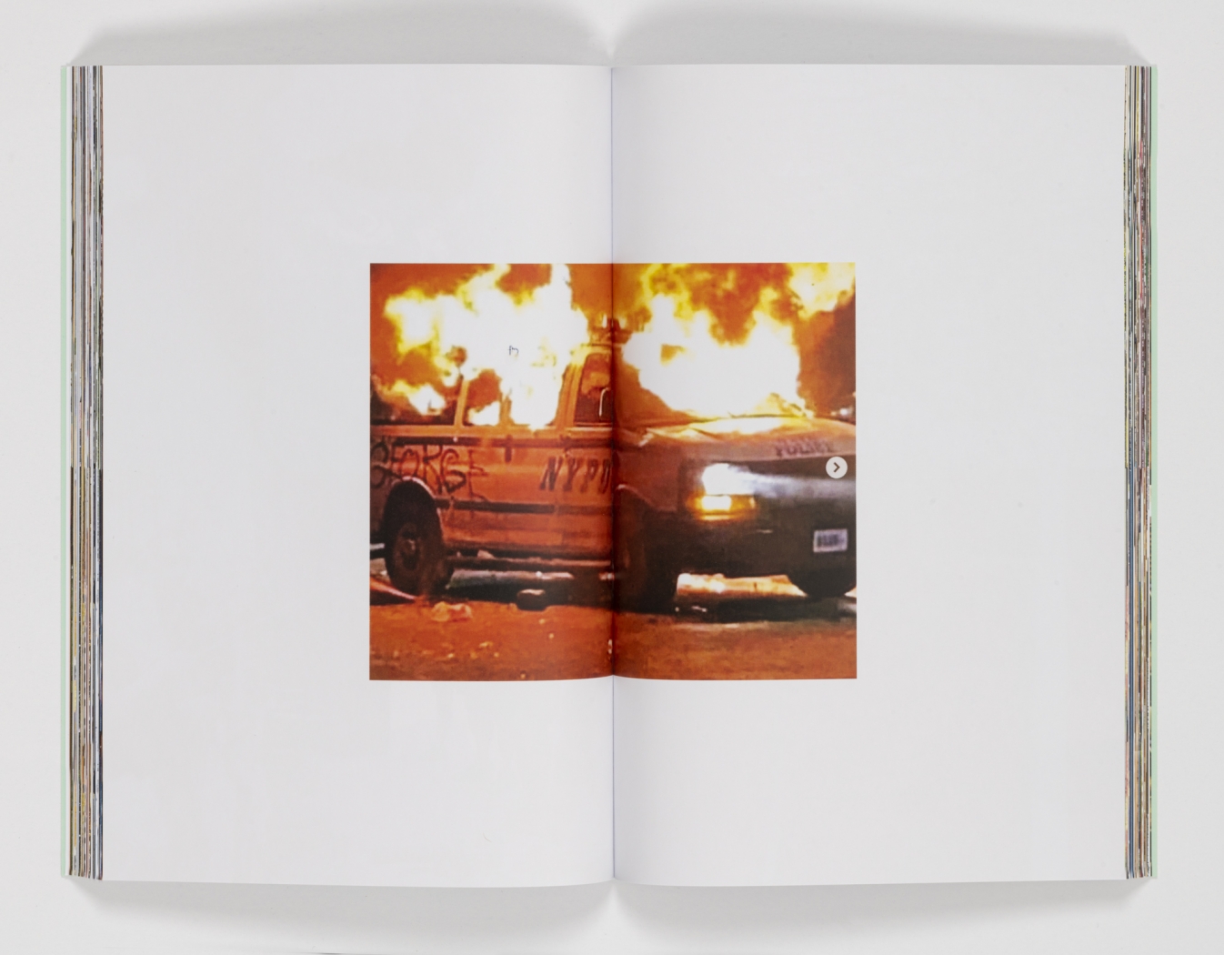 Rachel Harrison / Haim Steinbach: Between Artists