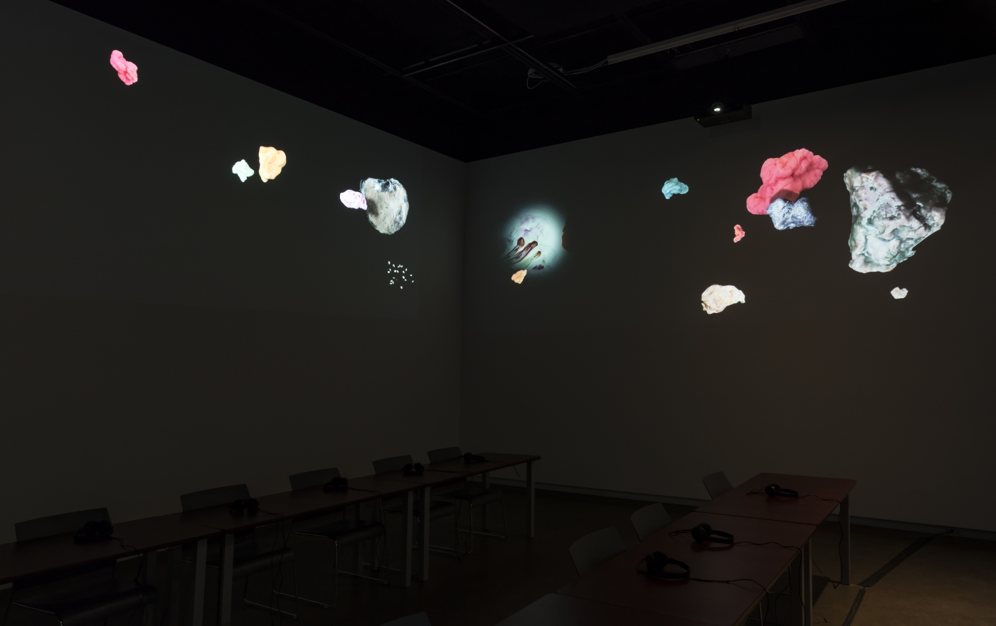 Installation view, Trisha Baga, Biologue, Gallery TPW, Toronto, 2018 