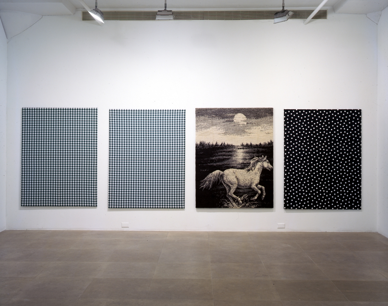 Installation view, Flaggs (Against Nature), Greene Naftali, New York, 2003