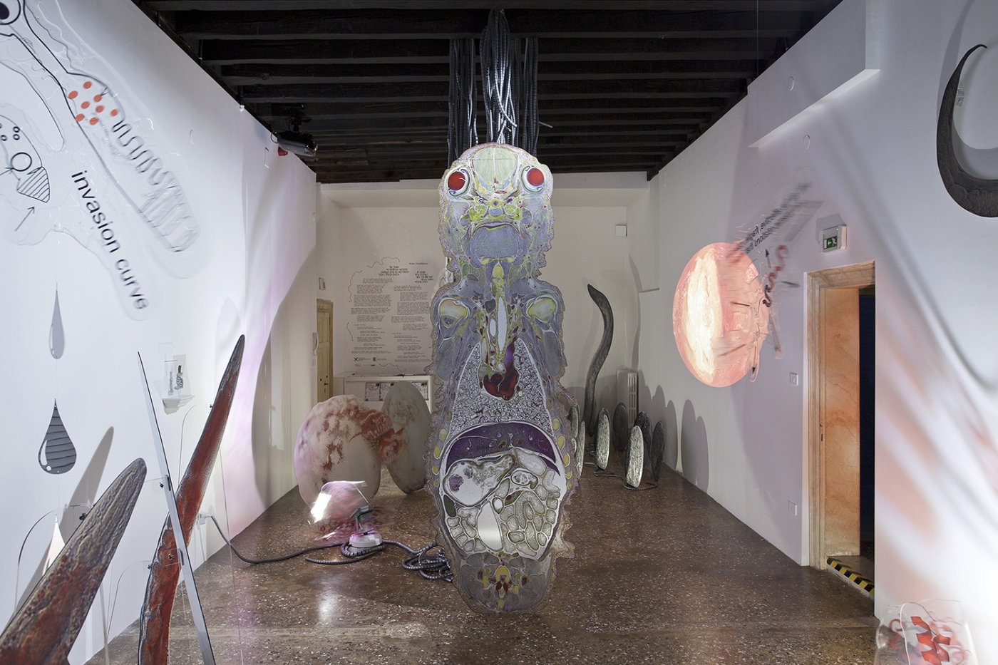 Katja Novitskova, Installation view, If Only You Could See What I’ve Seen With Your Eyes, 57th Venice Biennale, Estonian Pavilion, Venice, 2017