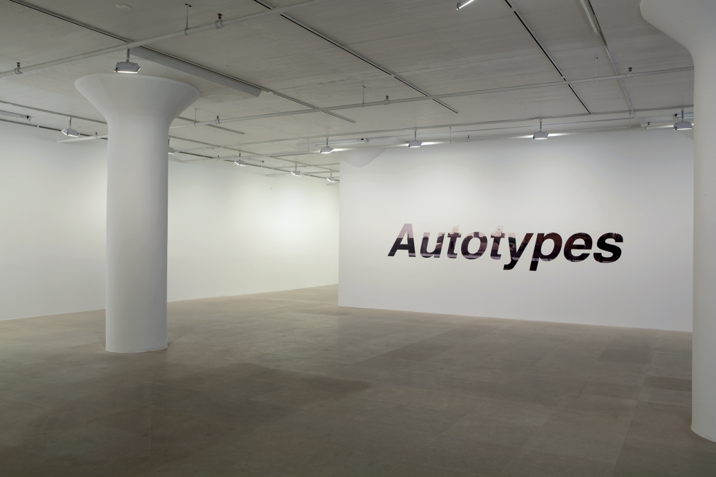 John Knight, Installation view, Autotypes, a work in situ, Greene Naftali, New York, 2011