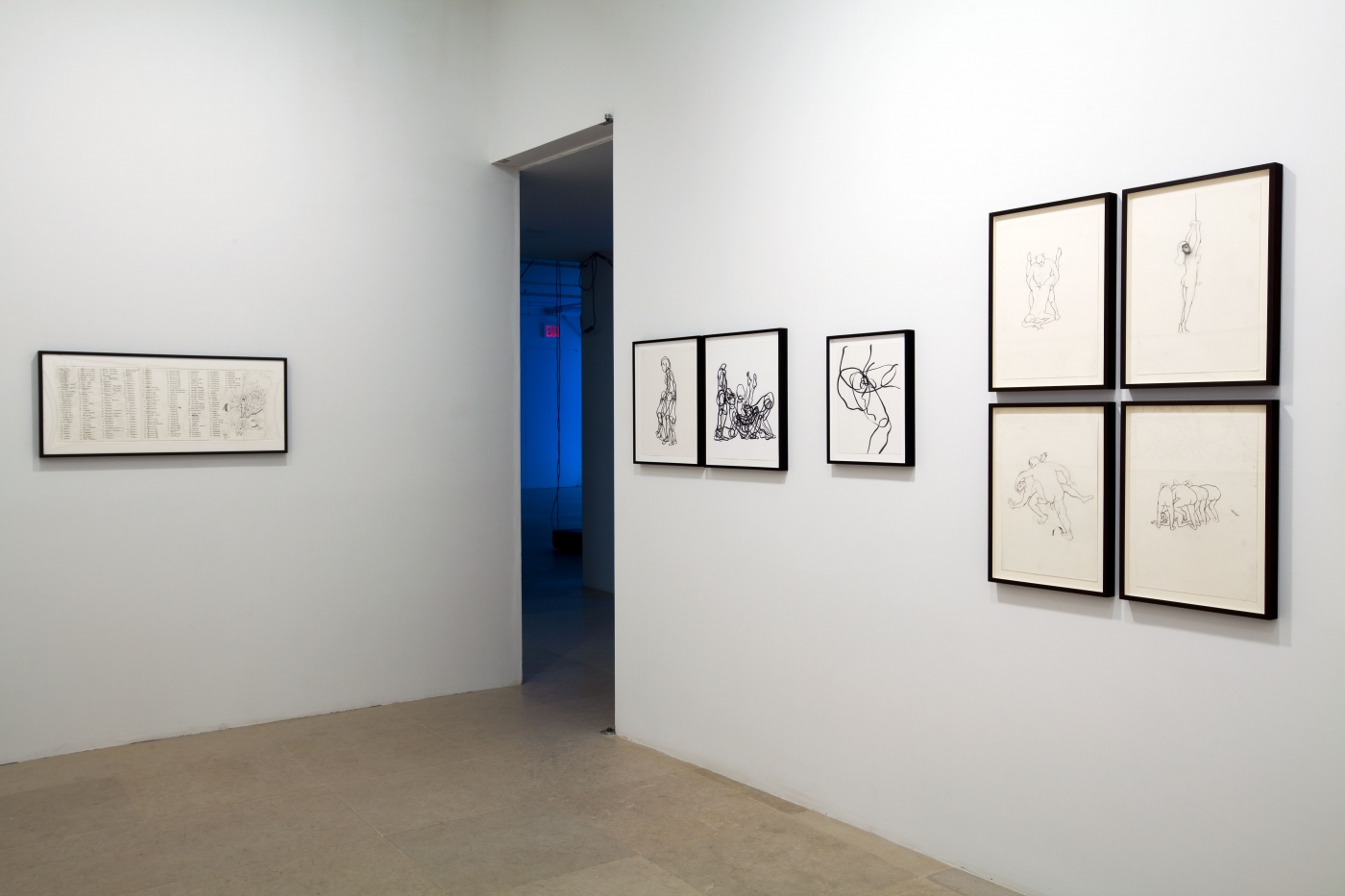 Installation view, Sade for Sade's sake, Greene Naftali, New York, 2009