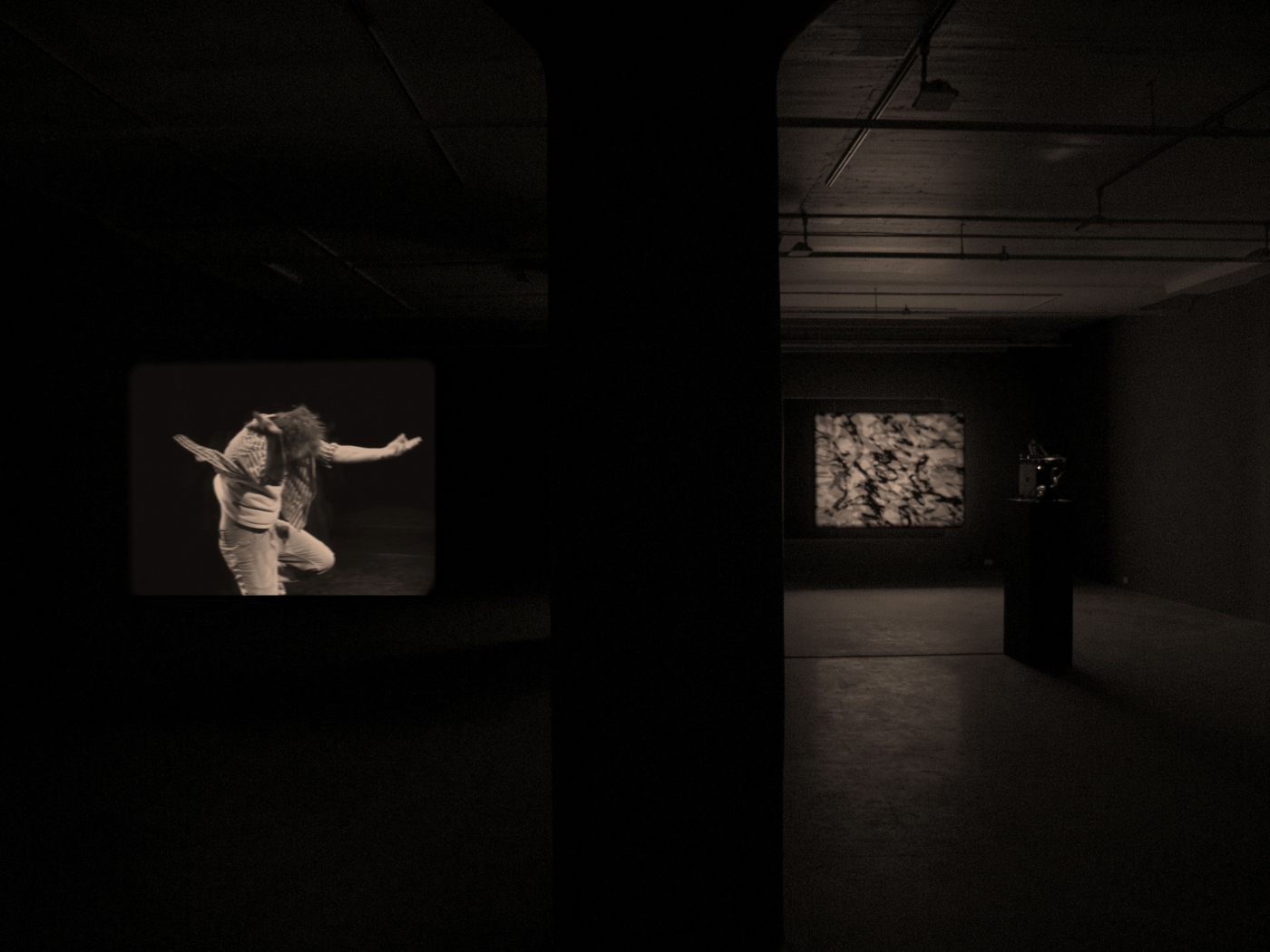 Joachim Koester, Installation view, From the Secret Garden of Sleep, Greene Naftali, New York, 2010