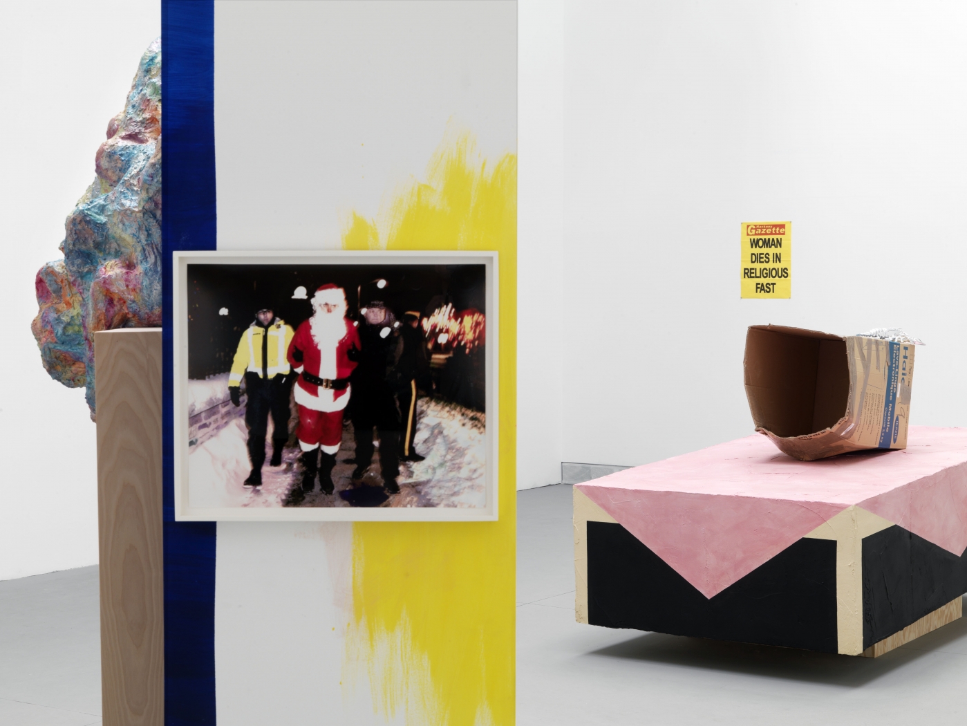 Rachel Harrison, Installation view, Making Worlds, 53rd Venice Biennale, Venice, 2009