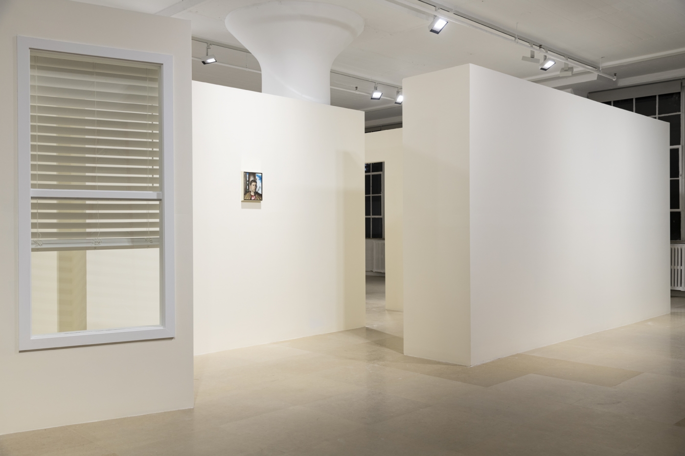 Giangiacomo Rossetti, Installation view, Le Fantasie, Greene Naftali, New York, 2020