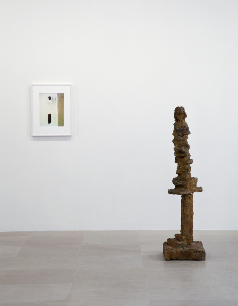 Rachel Harrison, Installation view, The Help, Greene Naftali, New York, 2012