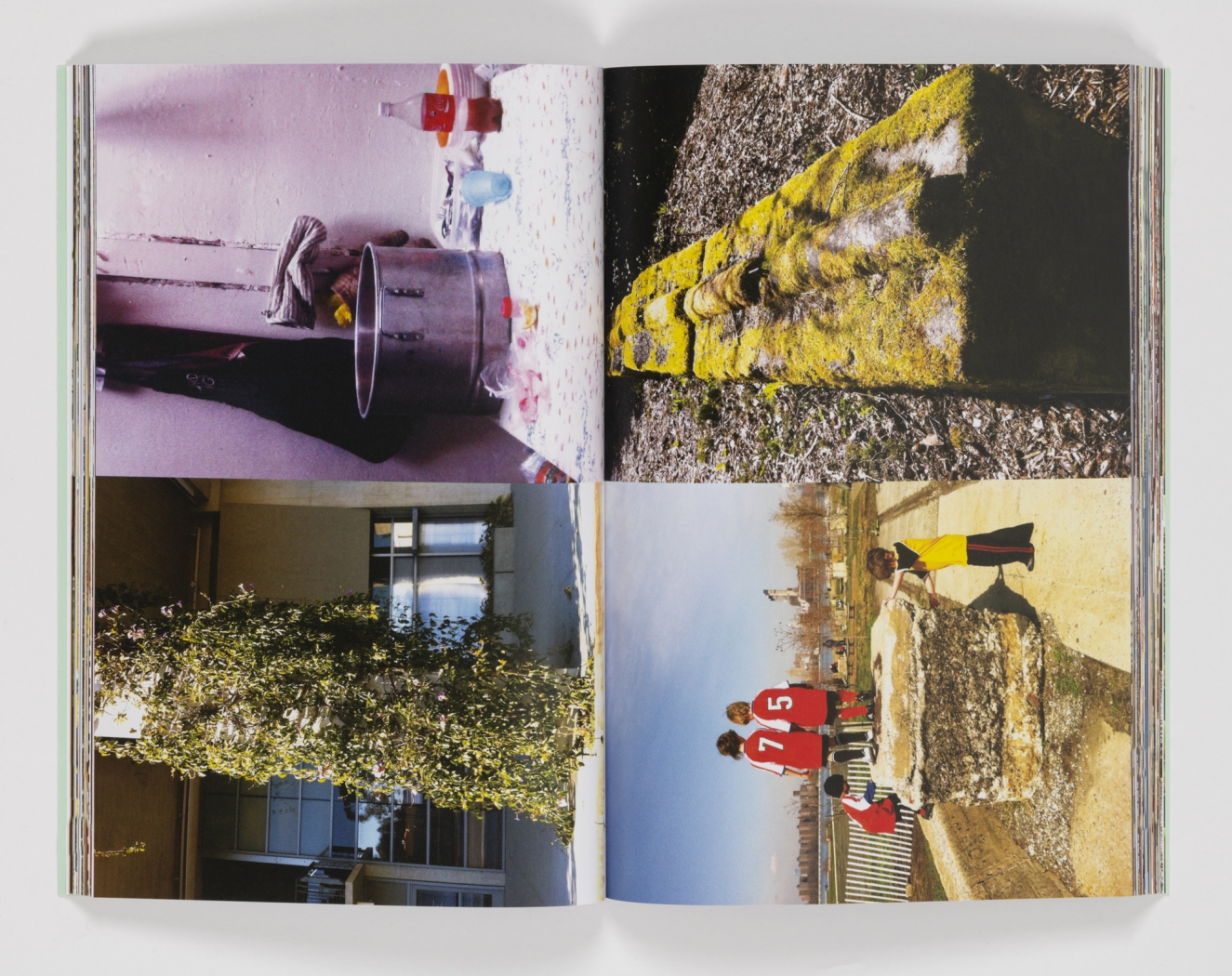 Rachel Harrison / Haim Steinbach: Between Artists