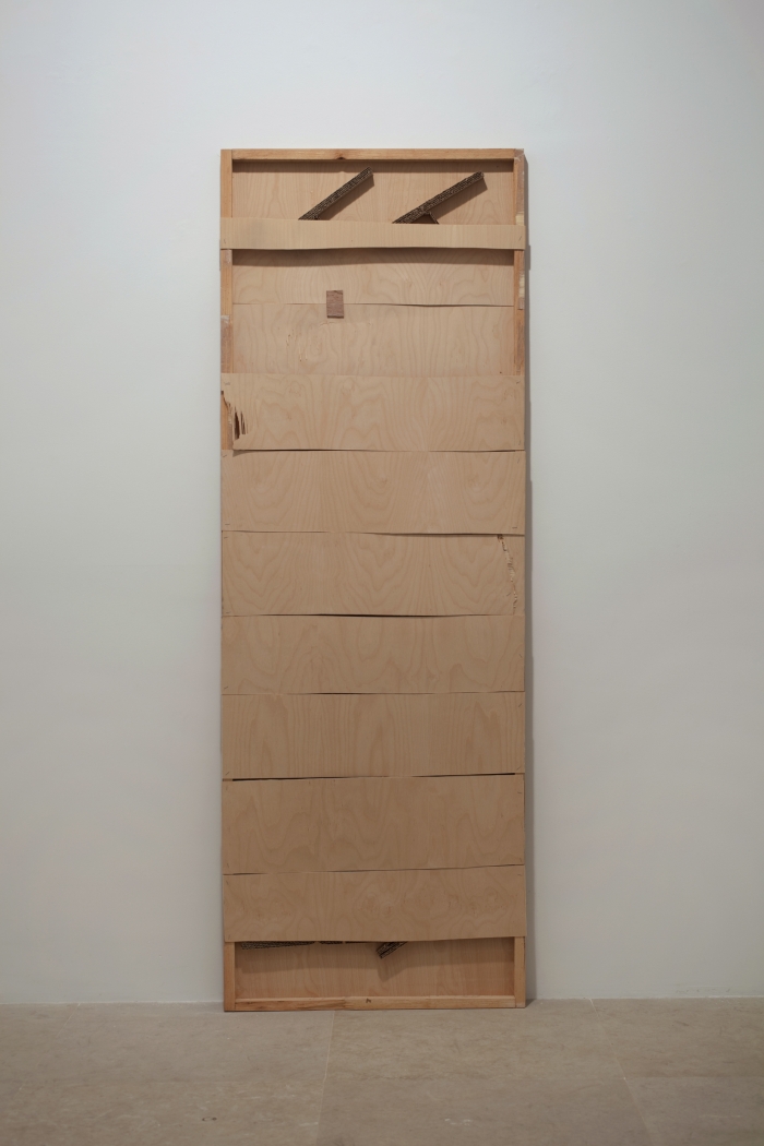 Gedi Sibony, Untitled, 2010, hollow-core door, 80 x 28 x 2 inches