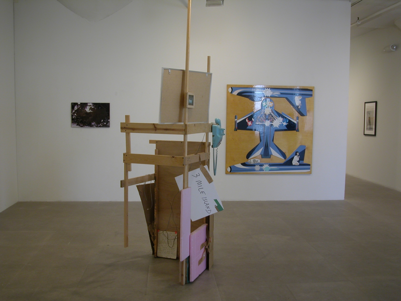 Installation view, American Idyll, Greene Naftali, New York, 2004