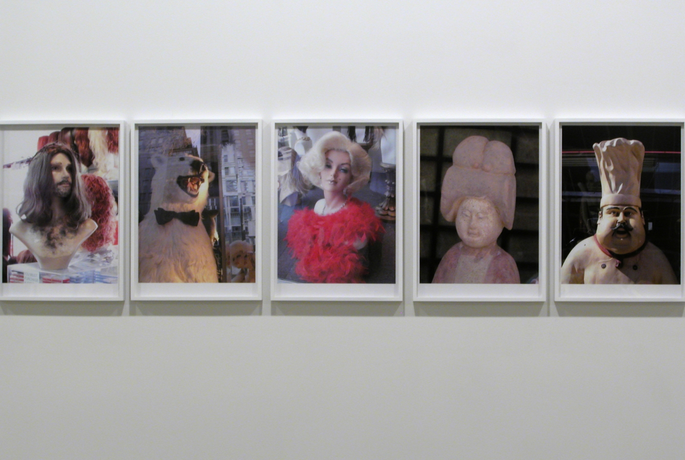 Voyage of the Beagle, 2007 (detail), 57 Archival Inkjet Prints, 18 x 13 inches each, framed