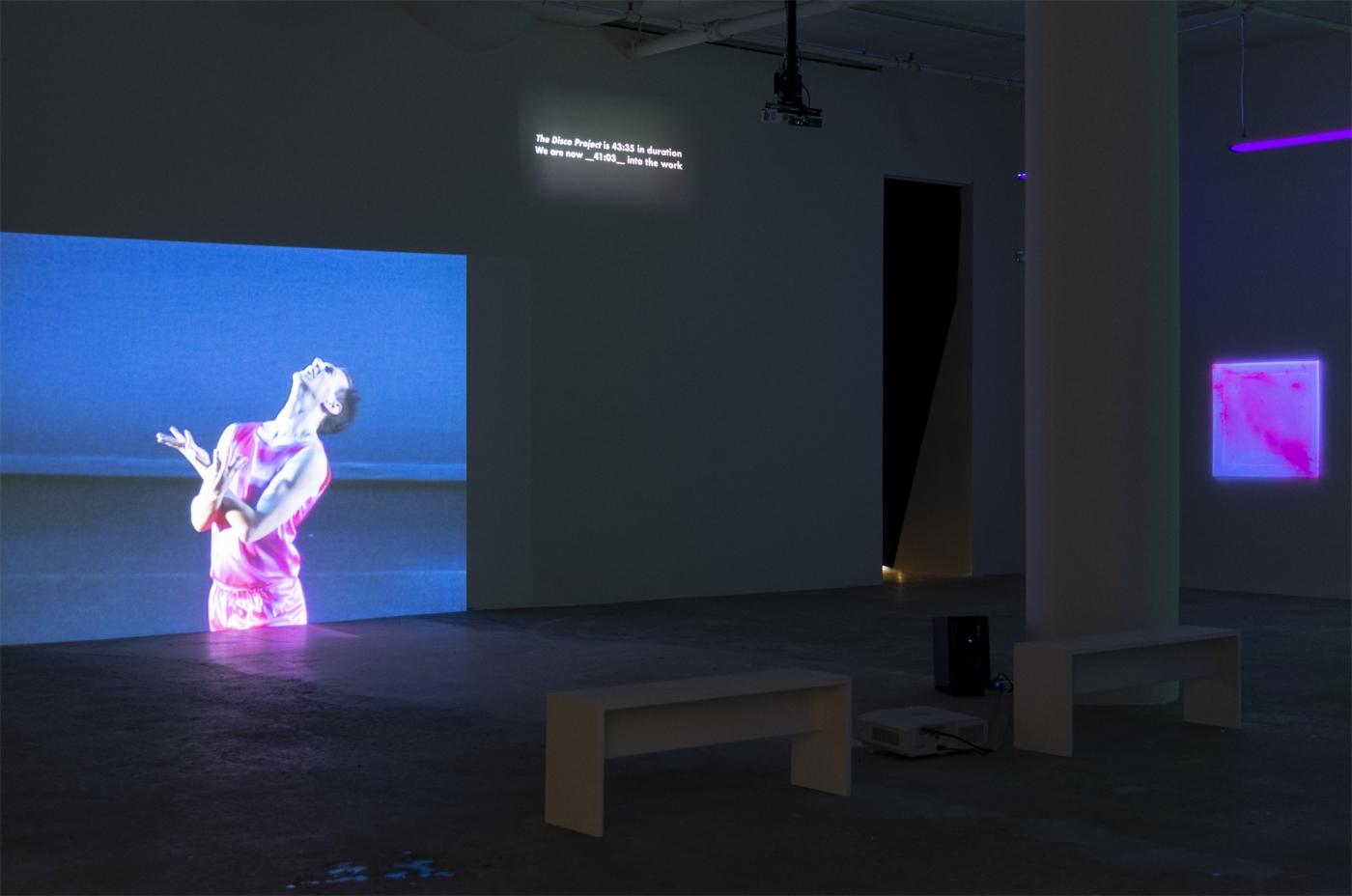Installation view, From Disco to Disco, Greene Naftali, New York, 2021