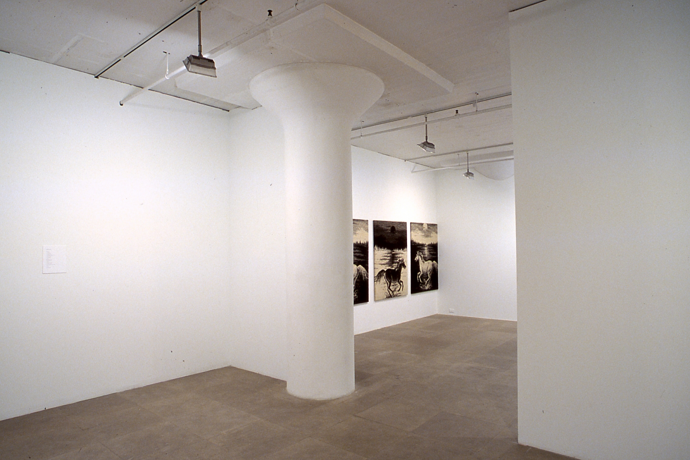 Installation view, Flaggs (Against Nature), Greene Naftali, New York, 2003
