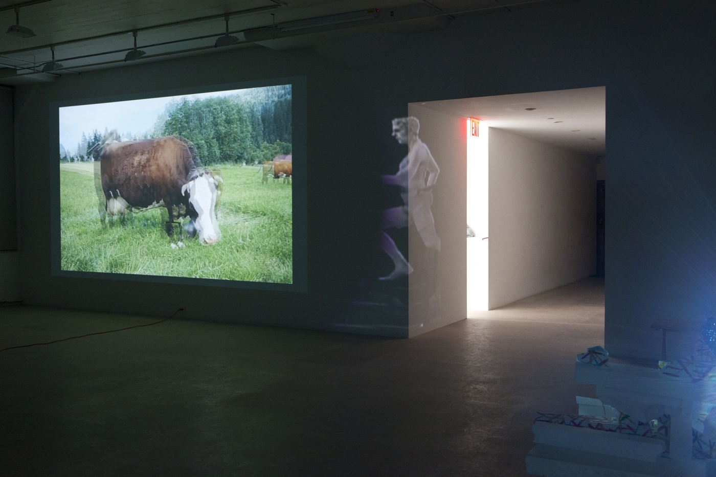 Installation view, The Biggest Circle, Greene Naftali, New York, 2012