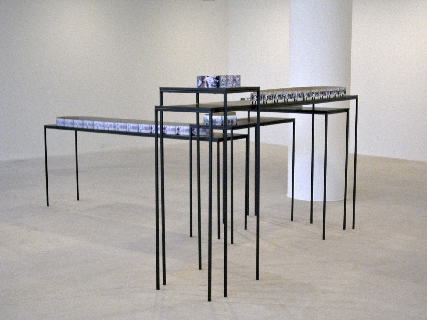 Hair, 2006, steel, wood, cardboard, c-prints, transparent tape, 61 x 100 x 135 inches