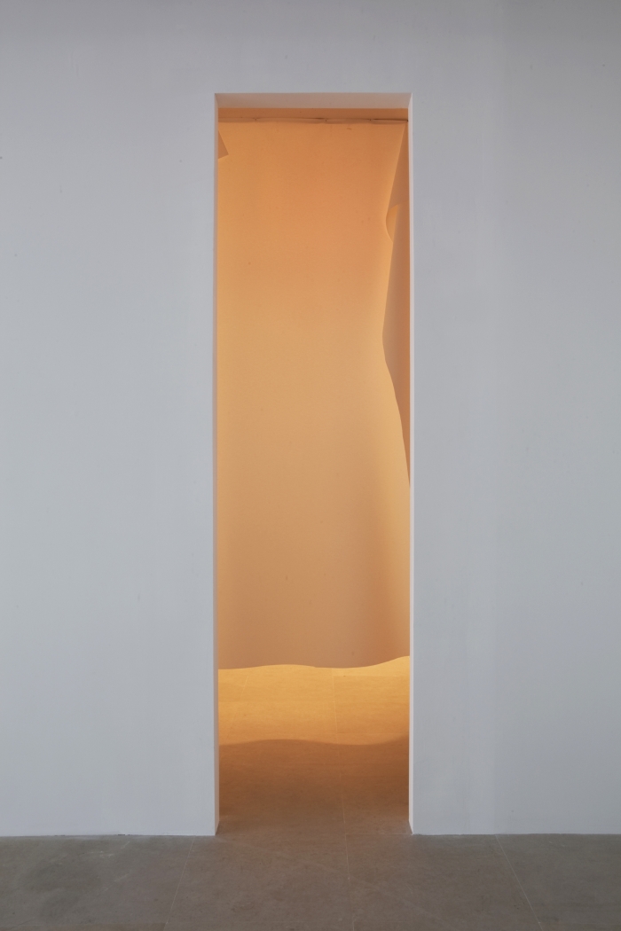 Gedi Sibony, The Brighter Grows the Lantern, 2010, vinyl, nails, and light, dimensions variable
