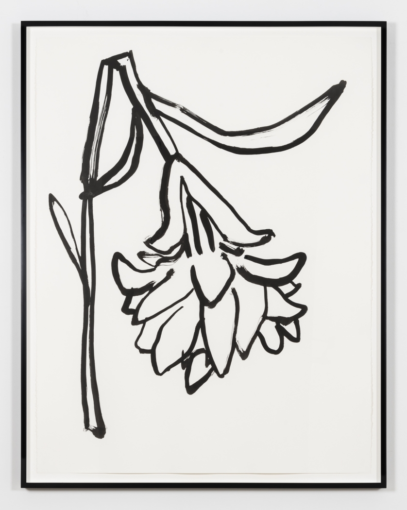 Paul Chan, die Nelke (carnation), 2020
